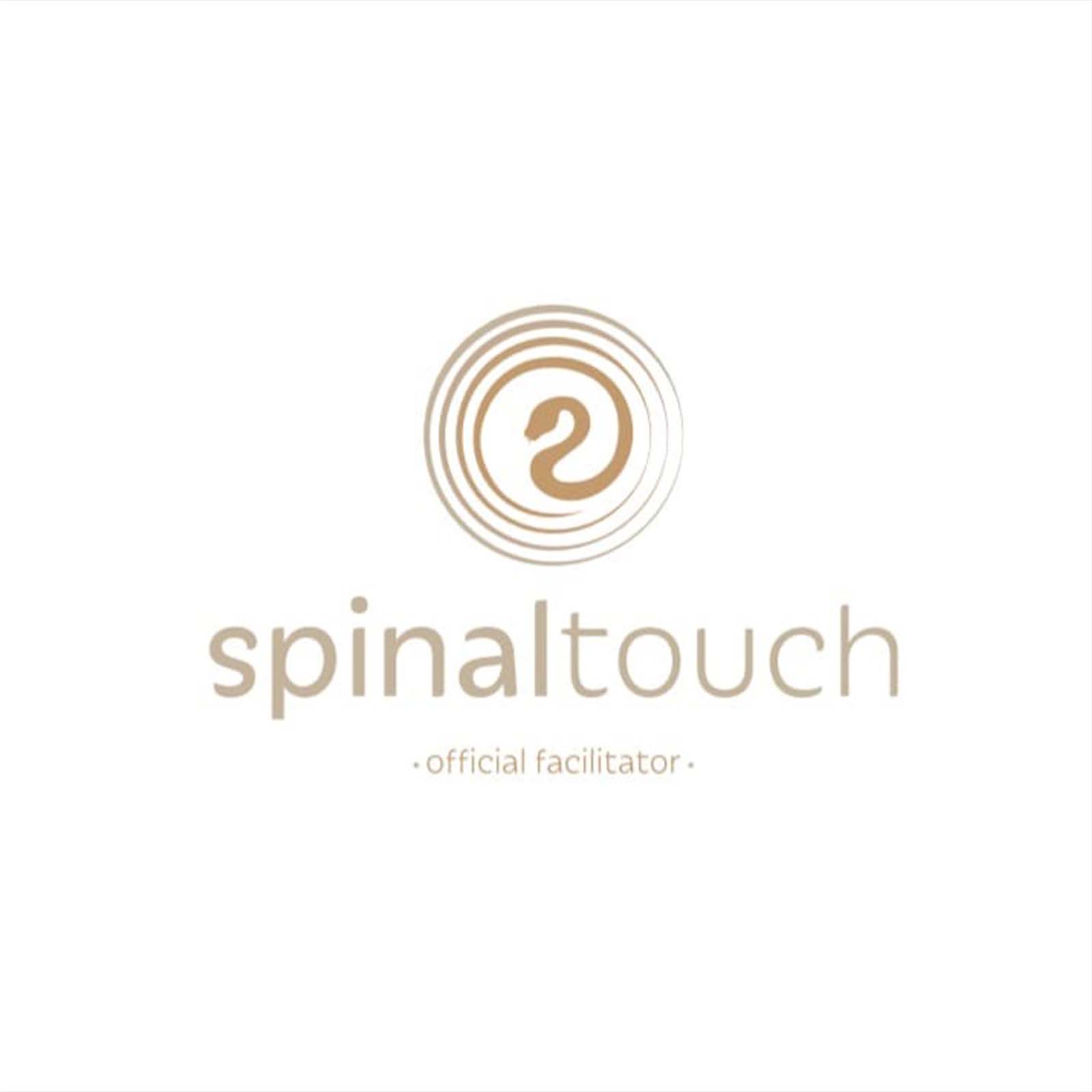 Spinal_0011_20f6ace4-2189-47c4-b987-373d57419c2f 2